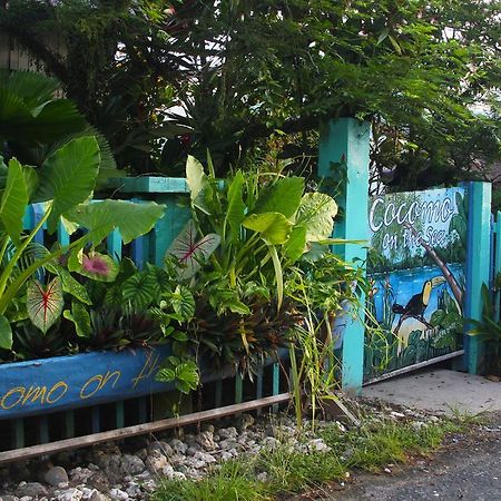 Cocomo On The Sea Bed and Breakfast Bocas del Toro Zewnętrze zdjęcie