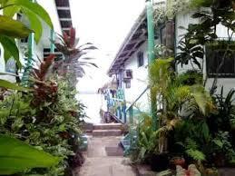 Cocomo On The Sea Bed and Breakfast Bocas del Toro Zewnętrze zdjęcie
